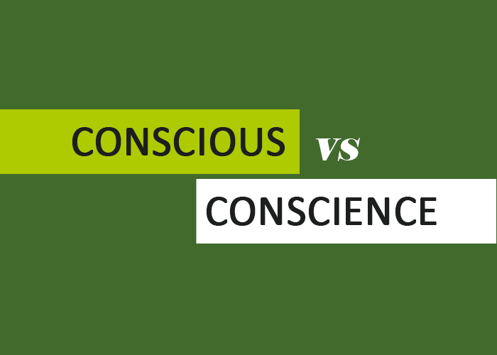 conscious-vs-conscience